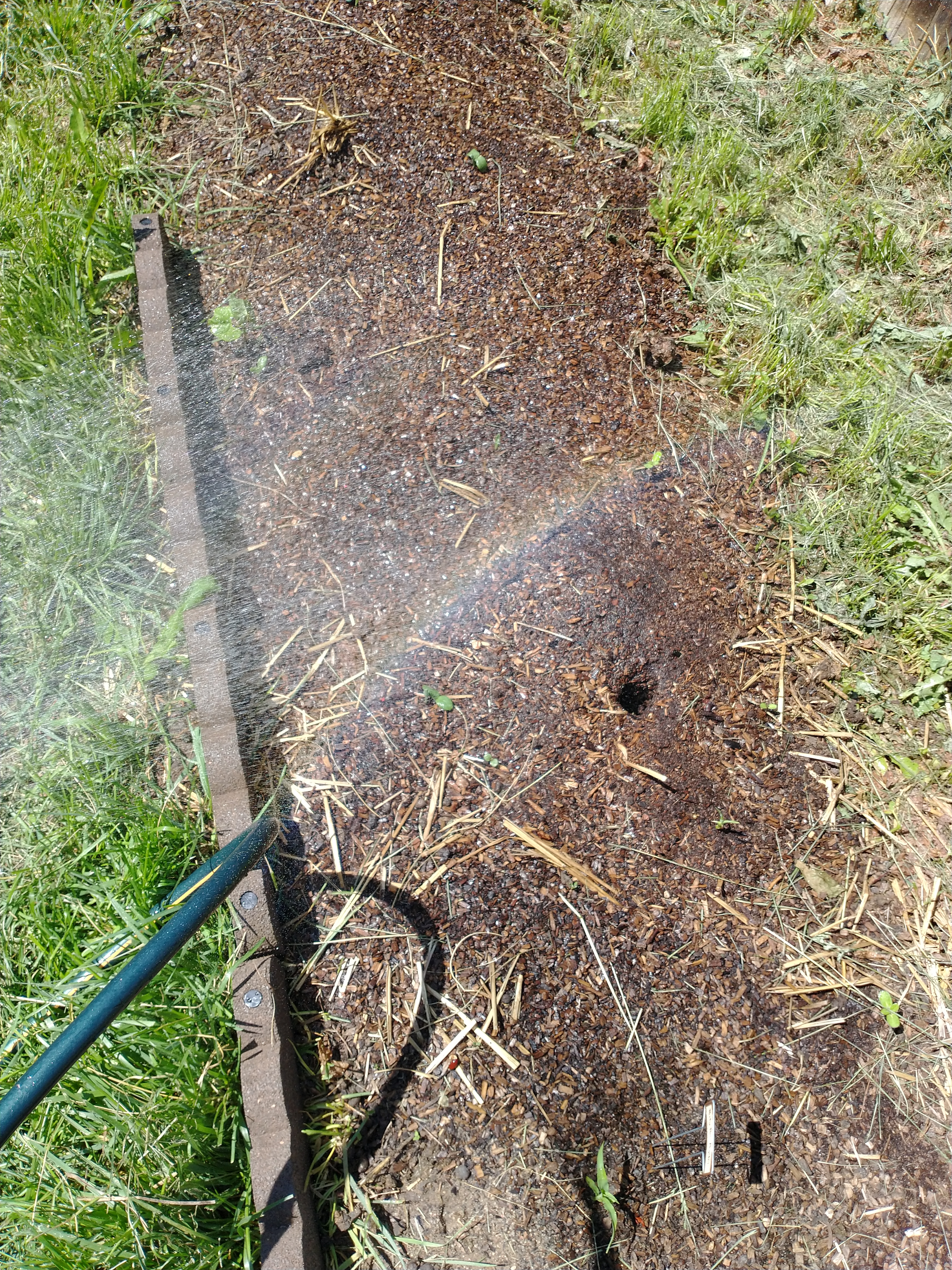 IMG_20210605_103853174