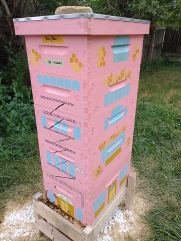 IMG_20210803_133307507 (1)