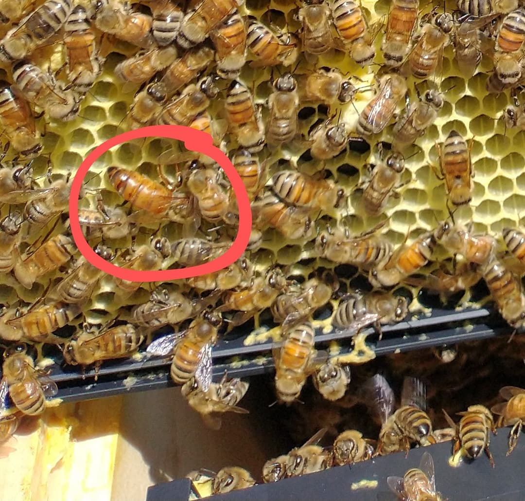 218588164_220137973309461_8289507509243728274_n