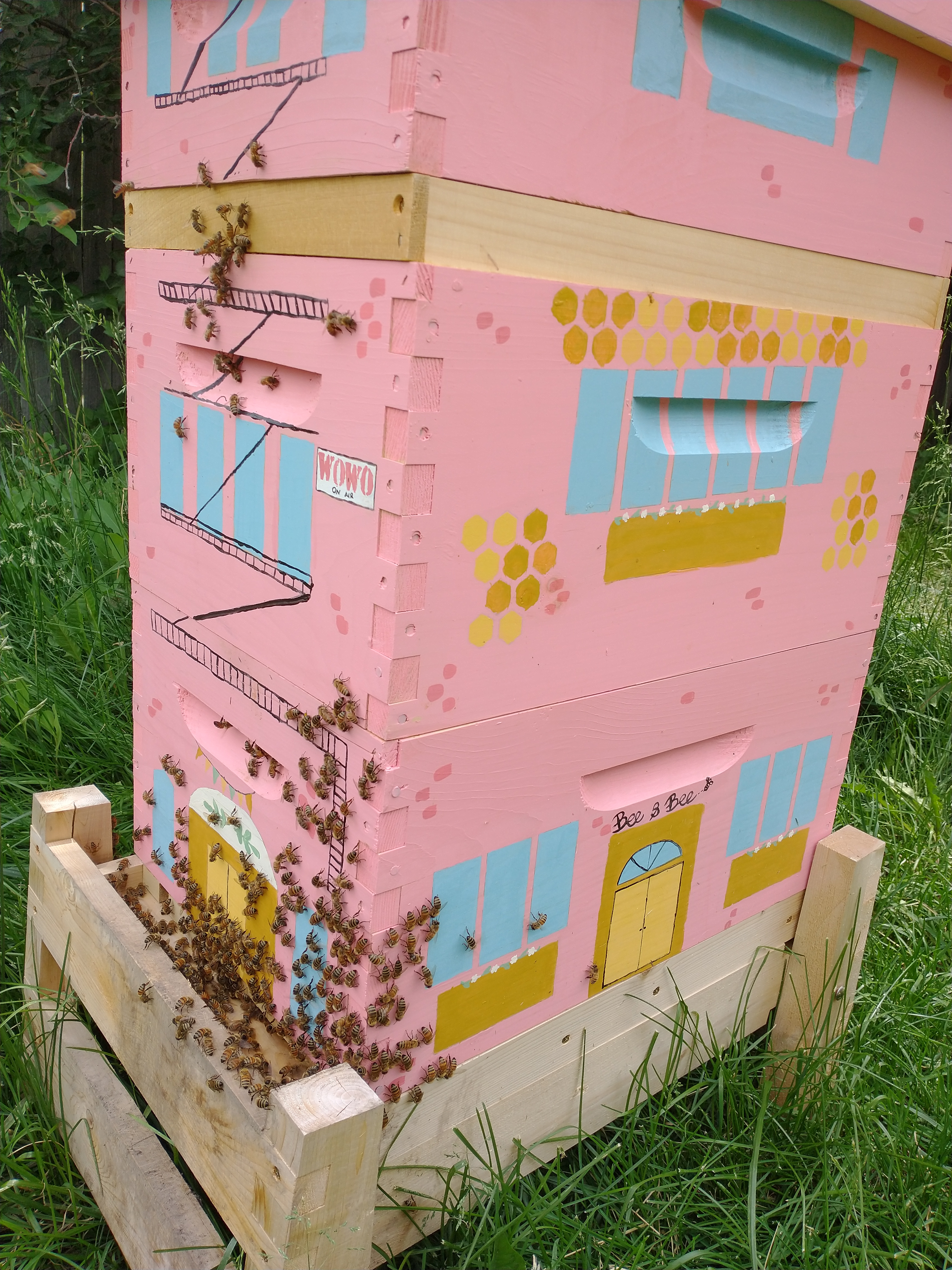 IMG_20210616_134653790