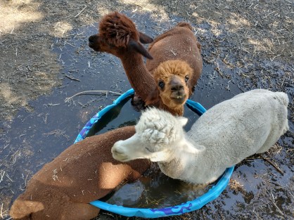 IMG_20210825_135914620_HDR