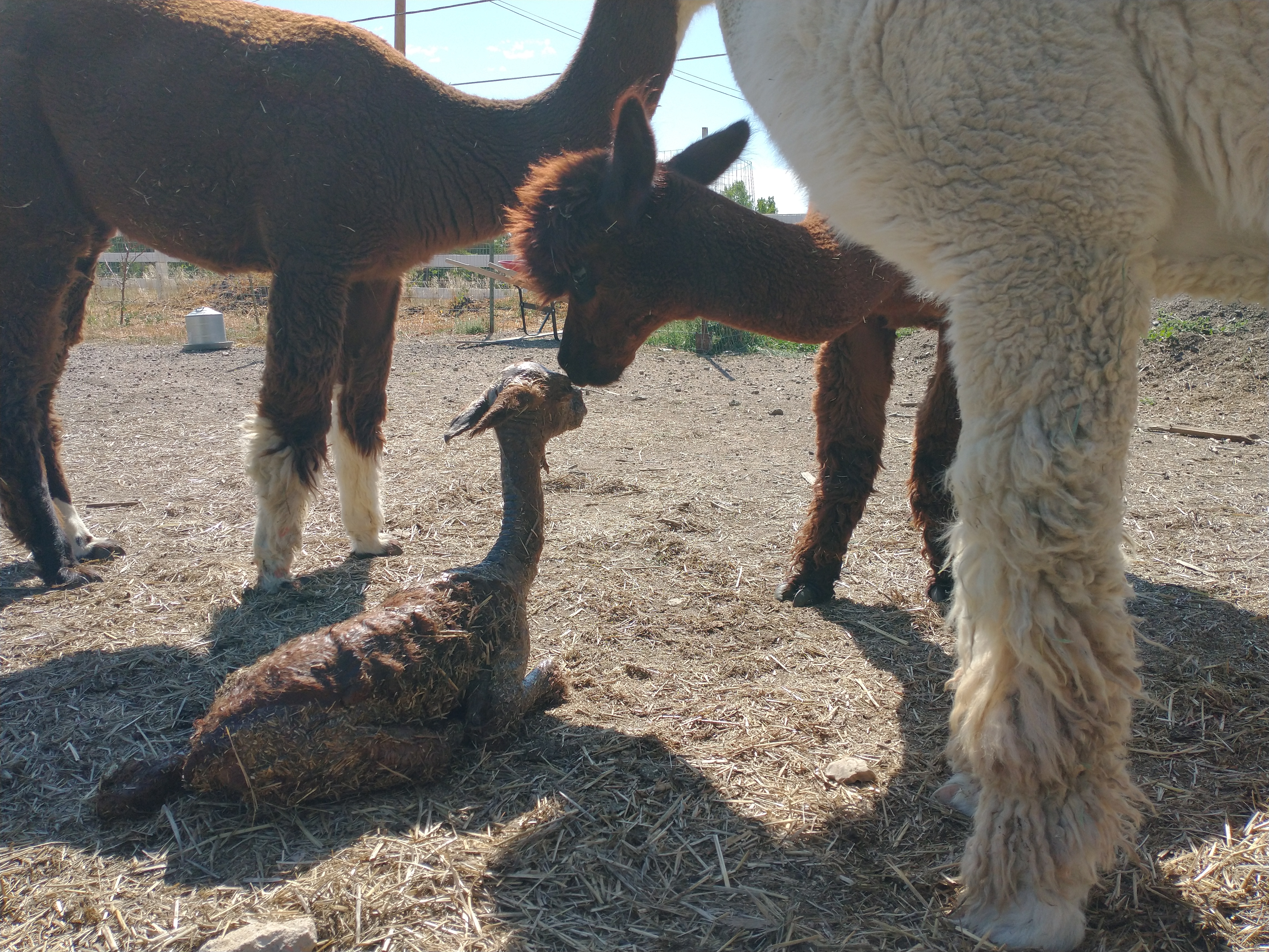 IMG_20210914_111420767 (3)