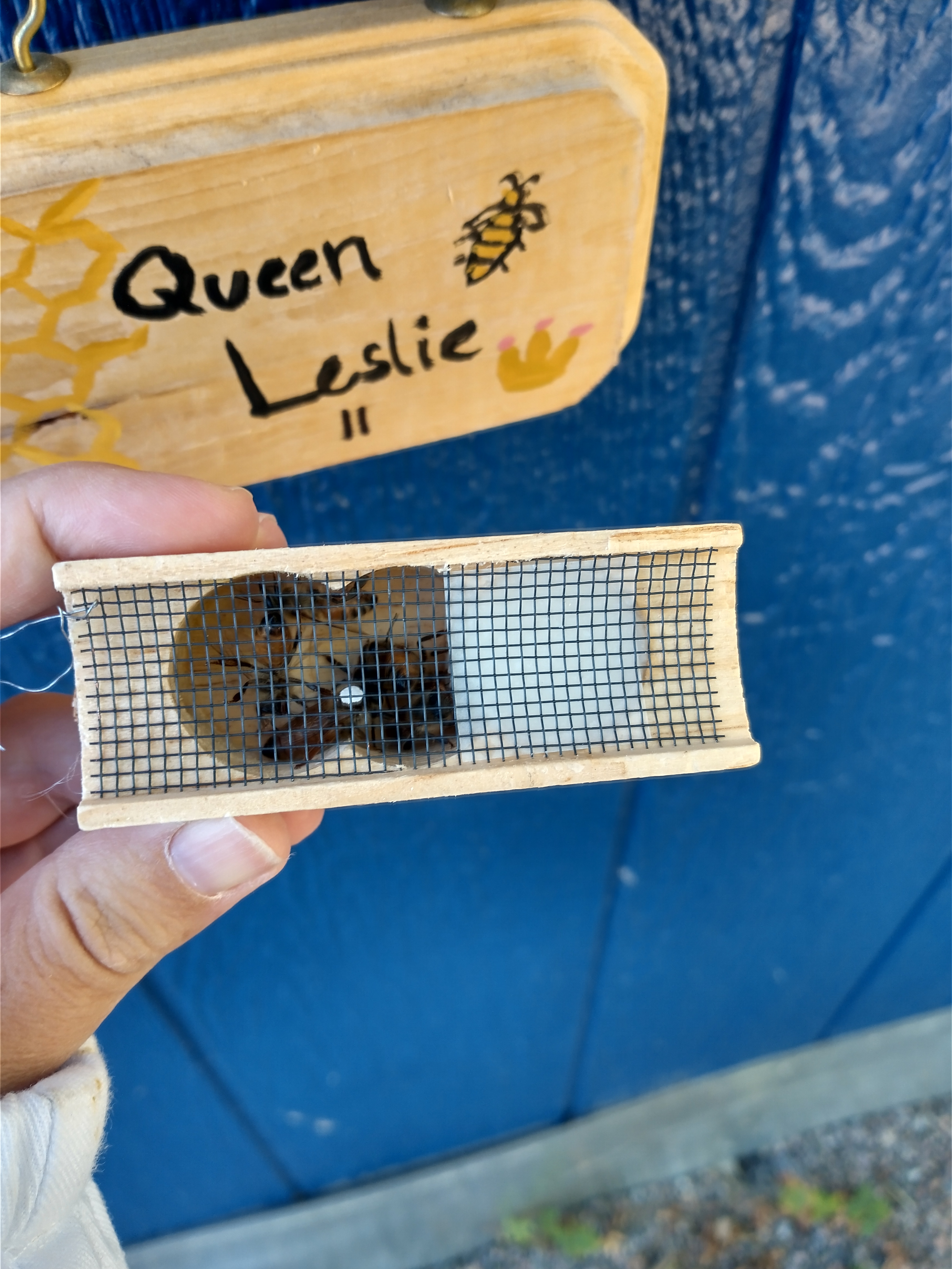 IMG_20211005_101958753_HDR (2)