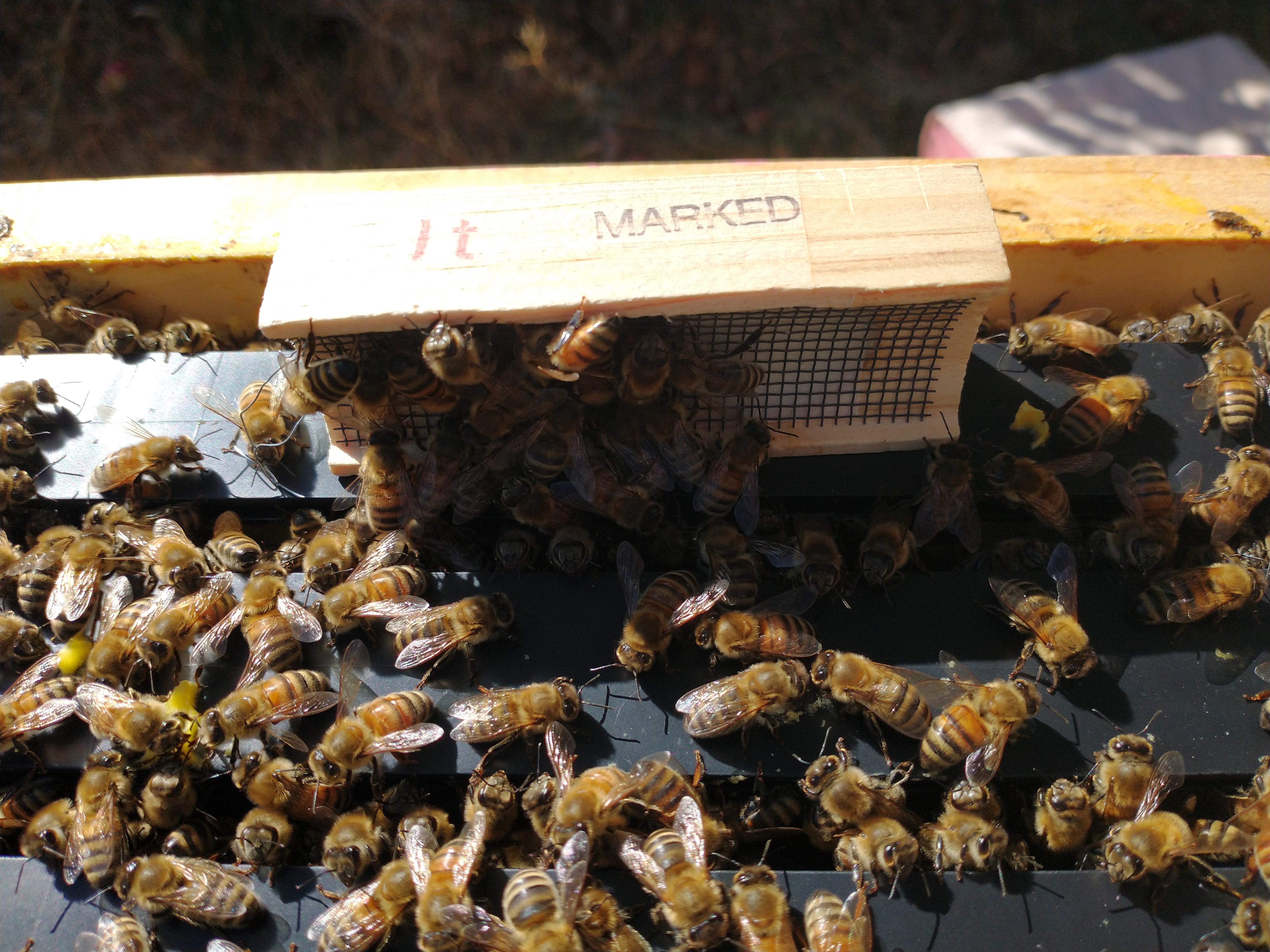 IMG_20211005_102708275