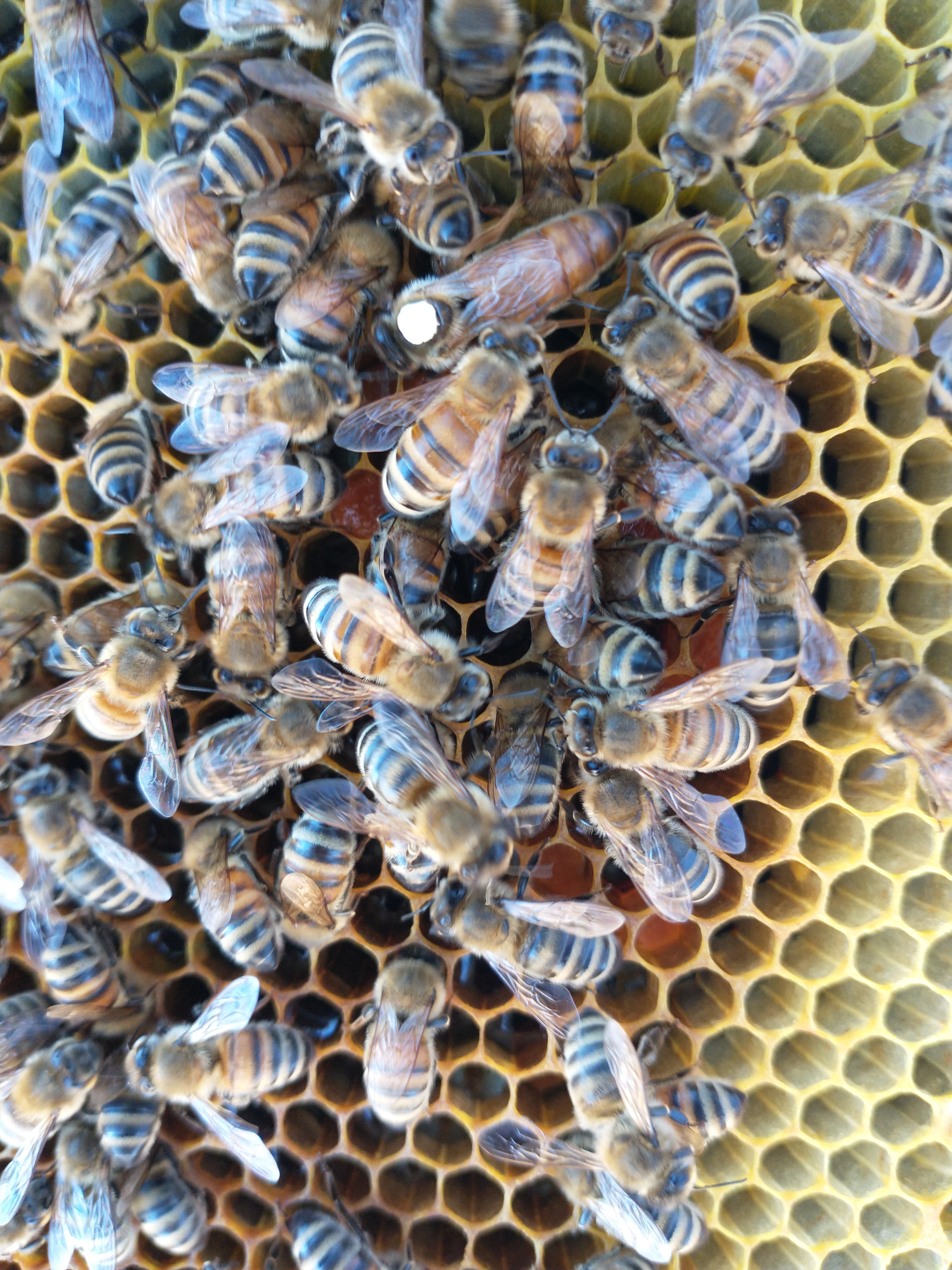 IMG_20211029_151027184