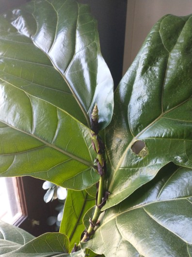 IMG_20210905_095052250