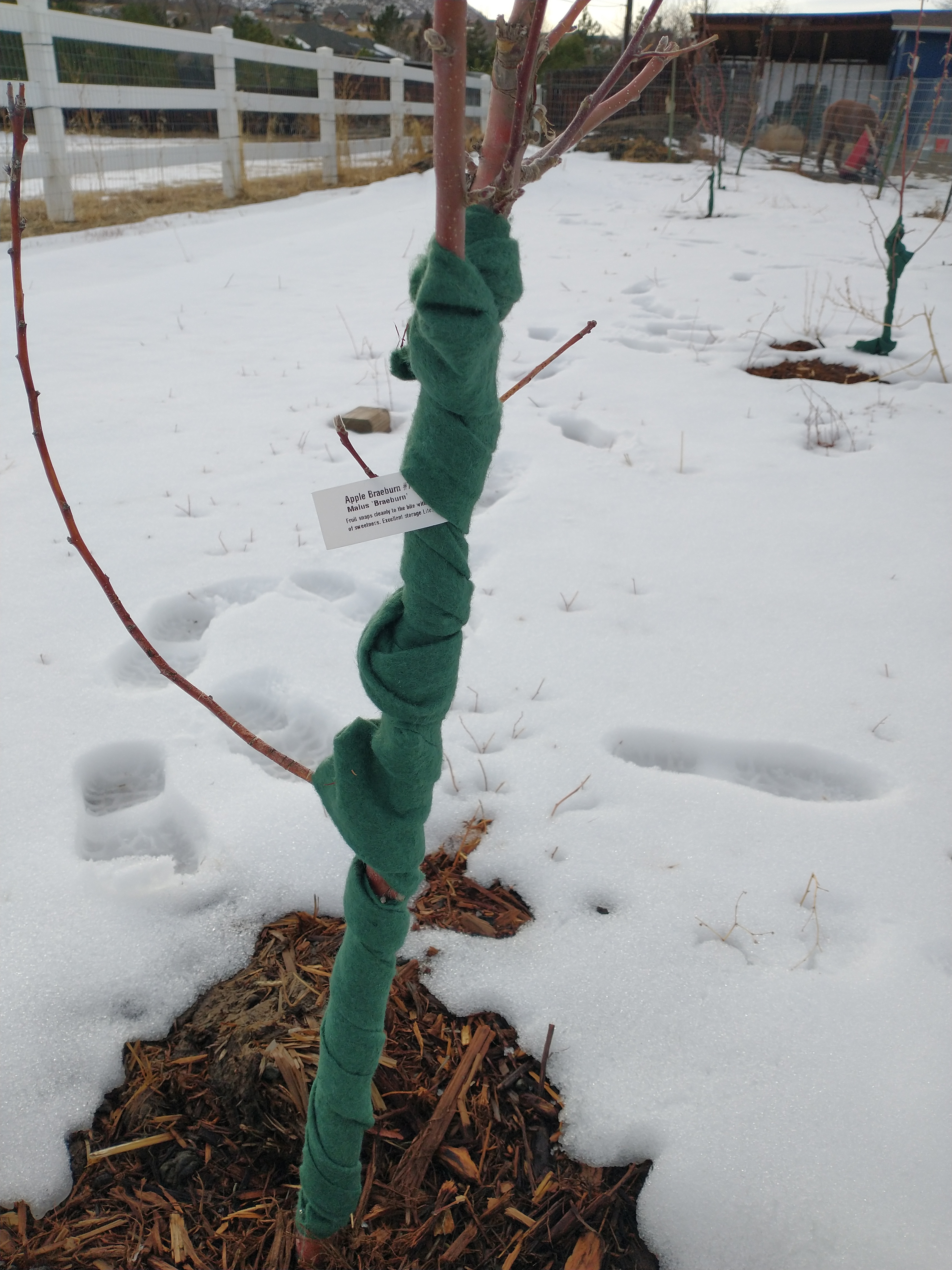 IMG_20220113_154658038