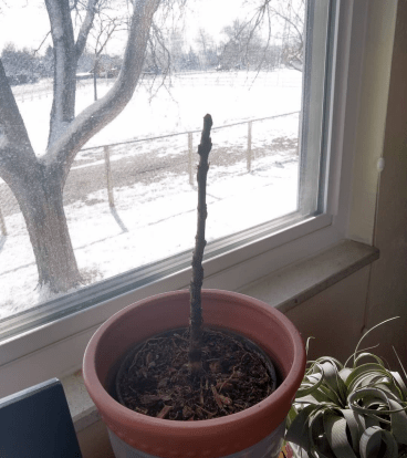 Screenshot_20220113-102028-161