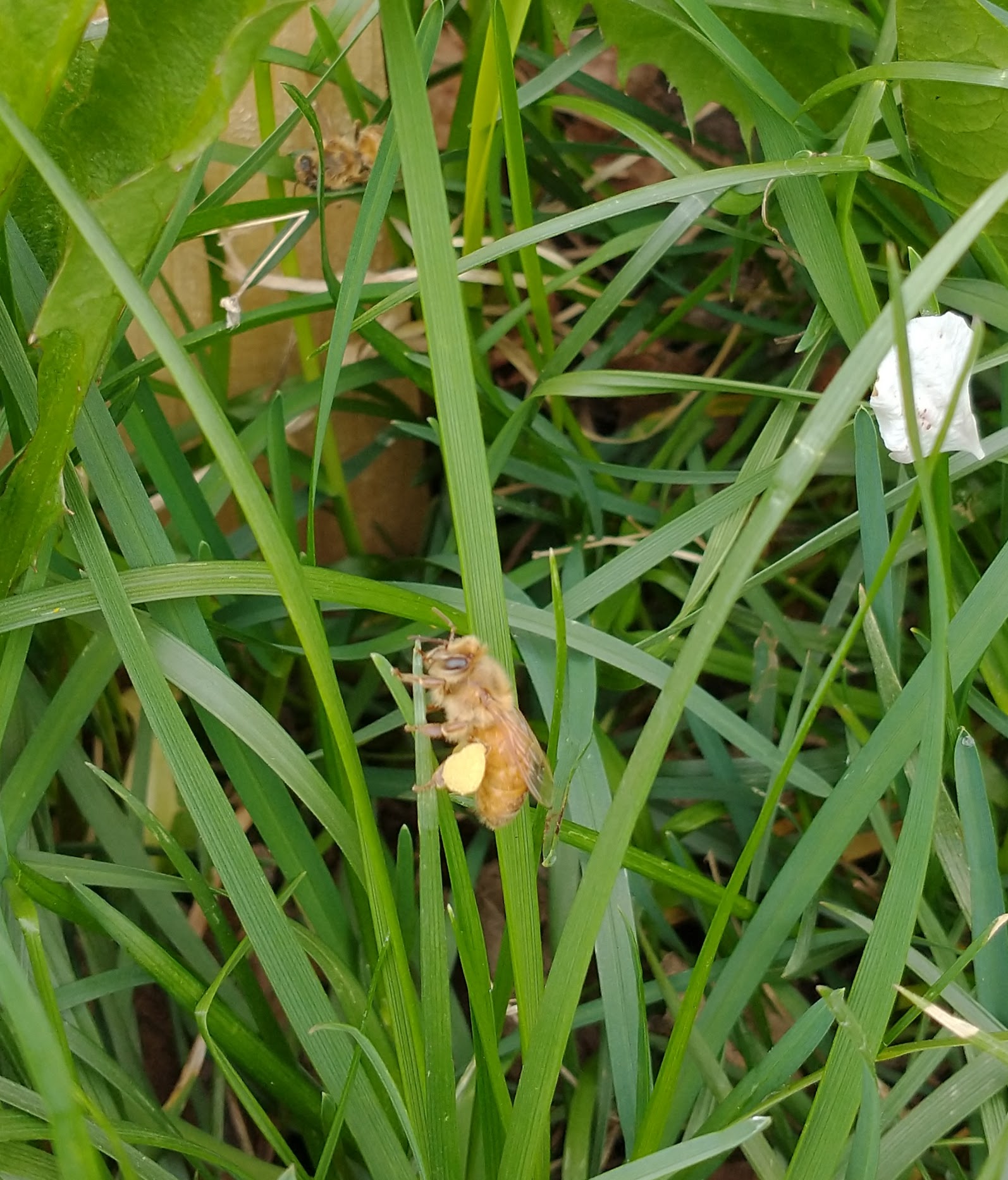 IMG_20210517_125513971