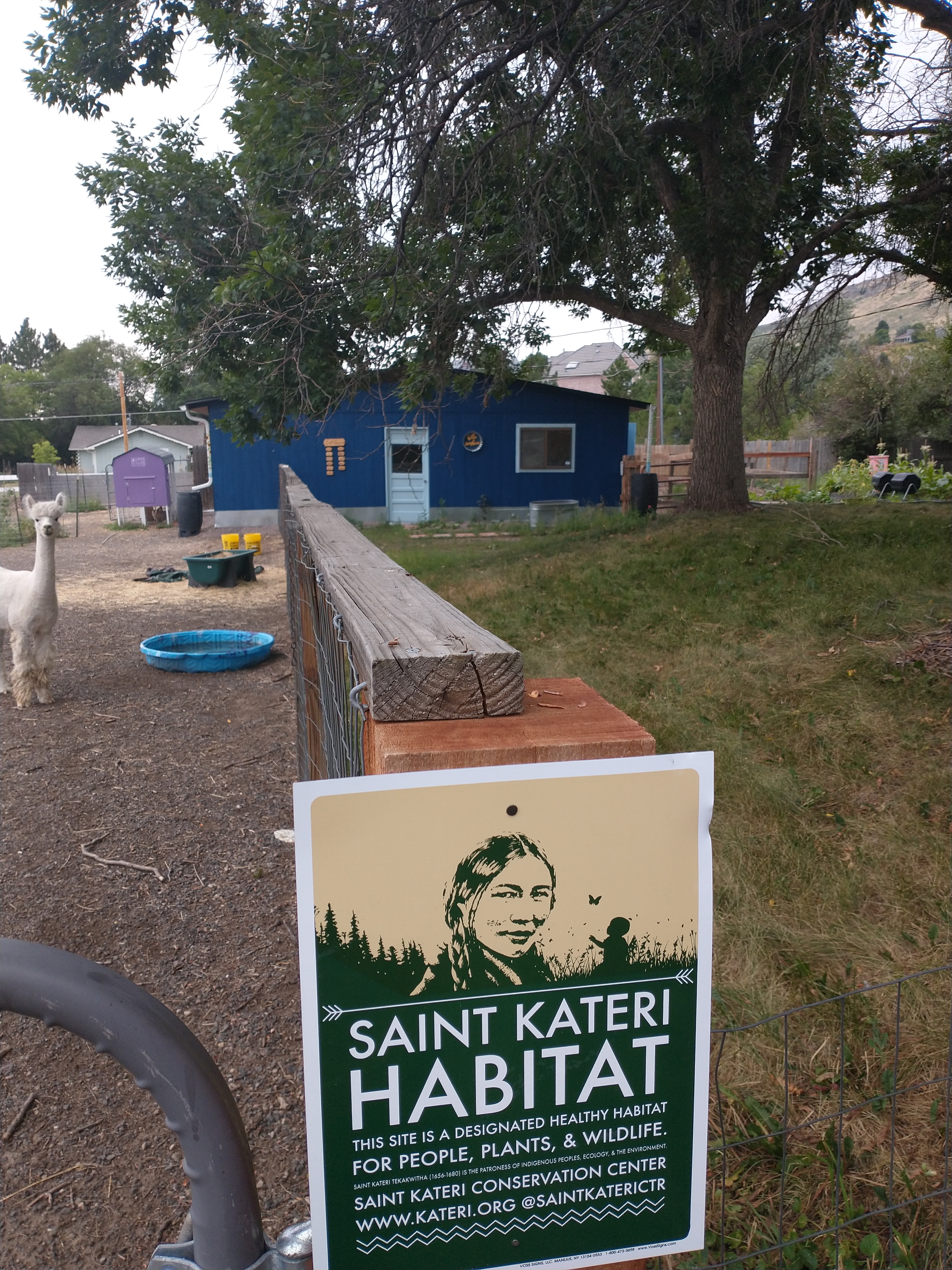 IMG_20210803_081806030