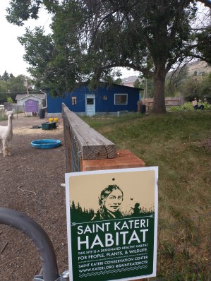 IMG_20210803_081806030