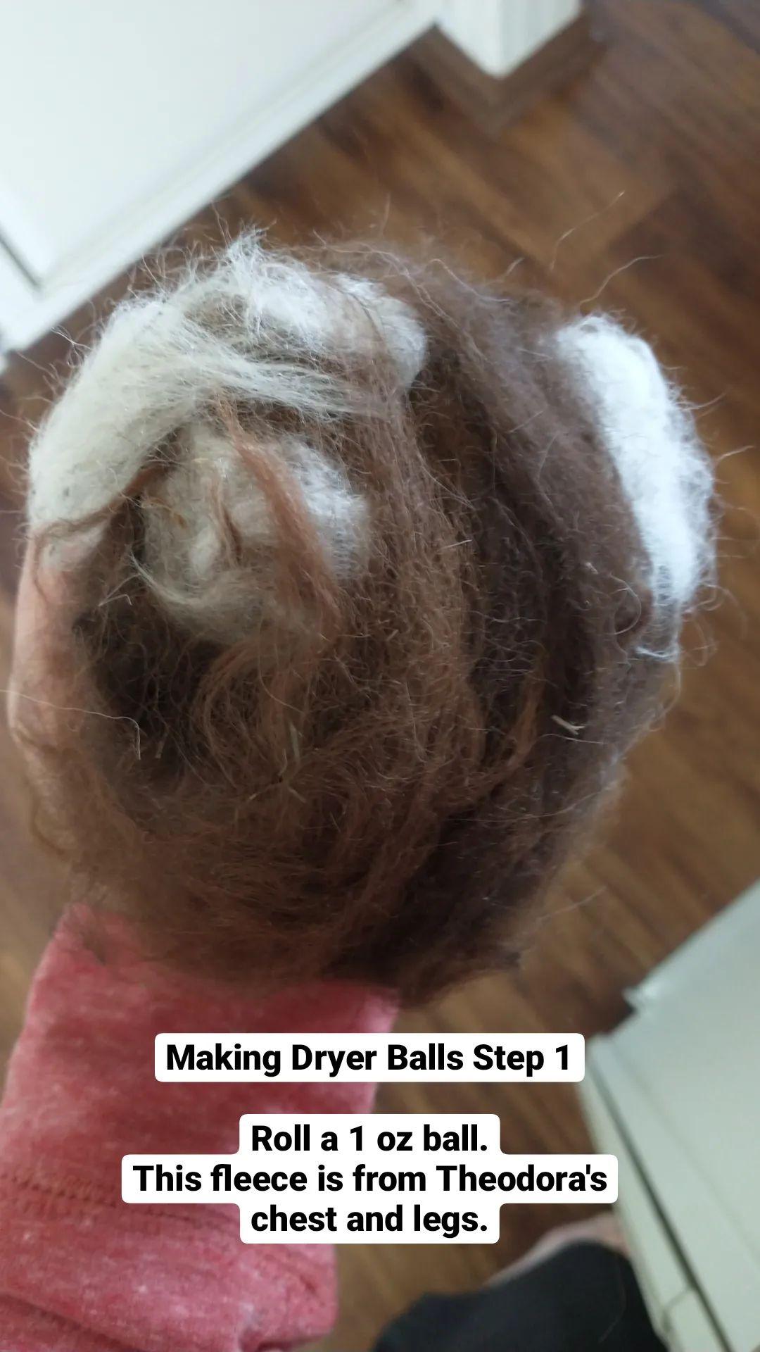 IMG_20220416_122334_773 (1)