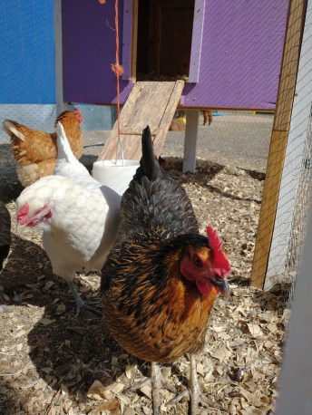 IMG_20220428_100542801