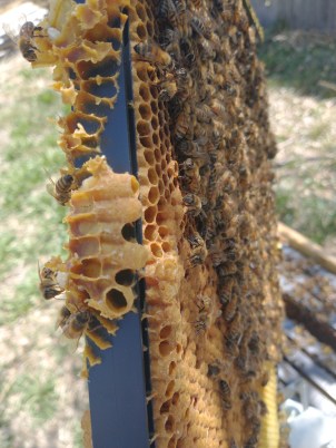 IMG_20220430_123630717