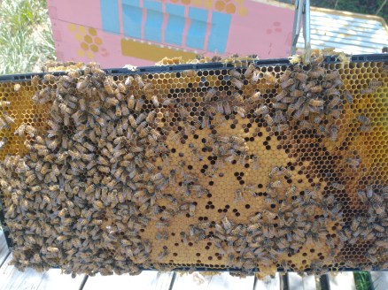 IMG_20220430_123903711