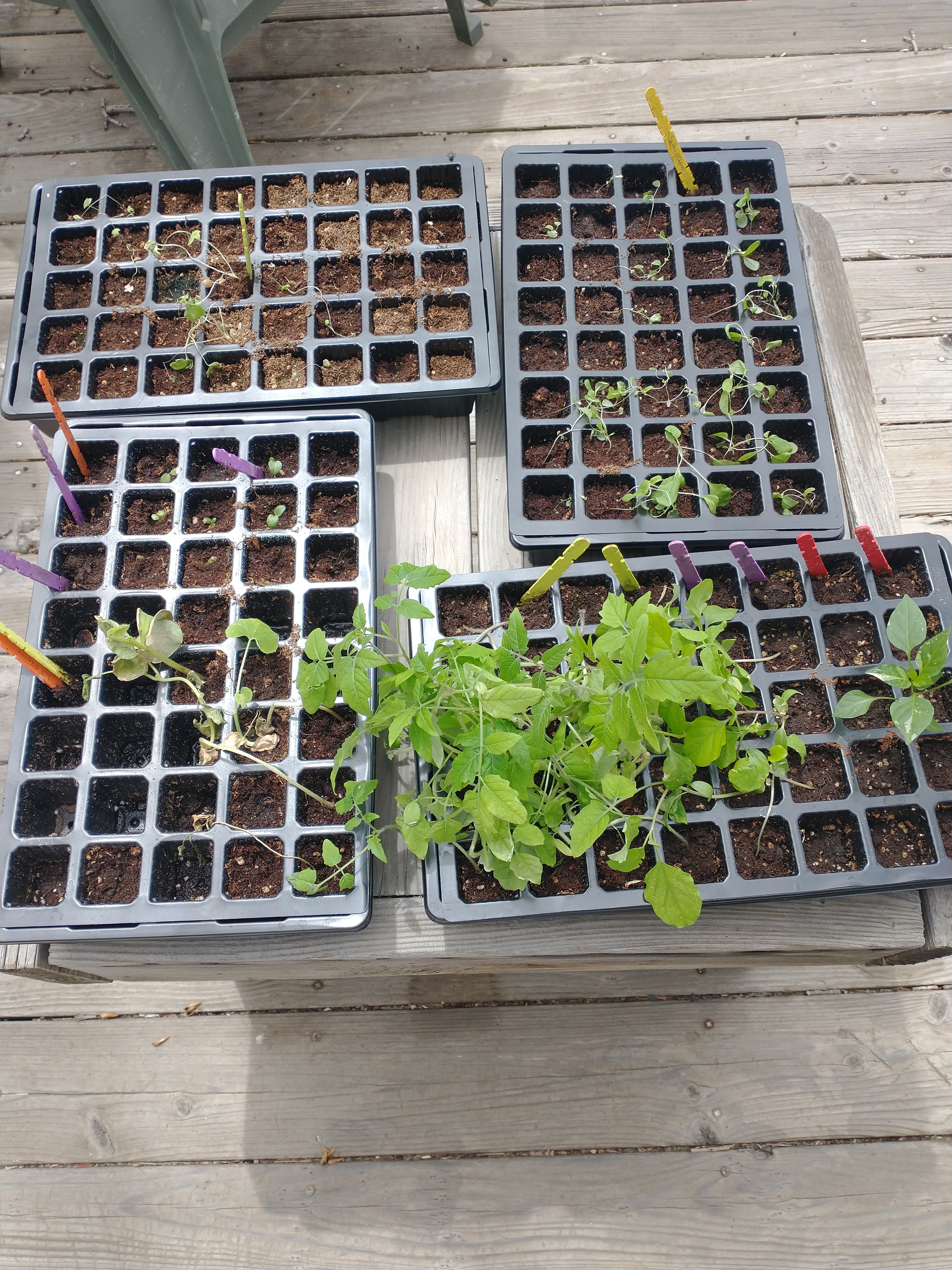 IMG_20220506_122017460