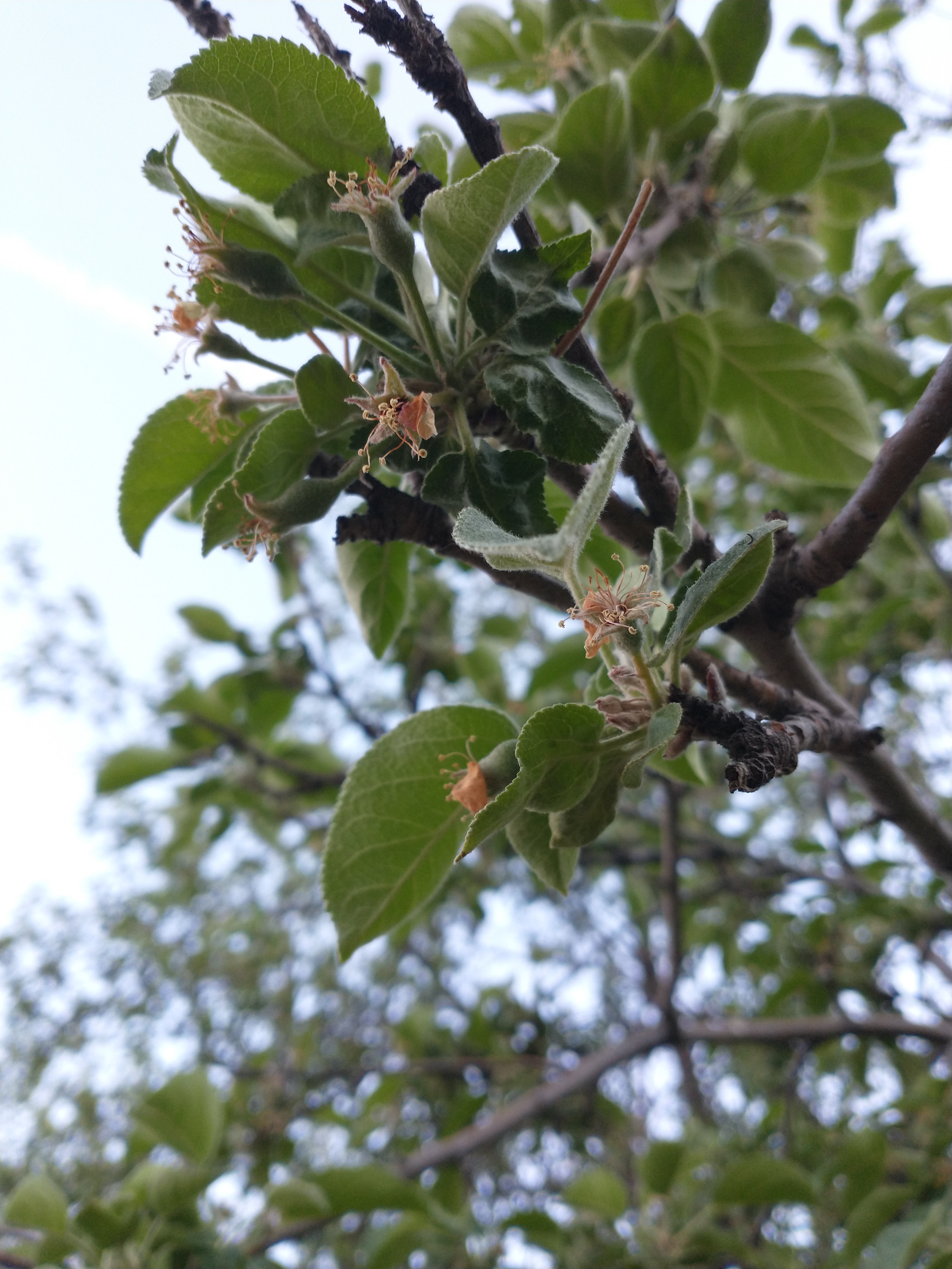 IMG_20220519_200512260