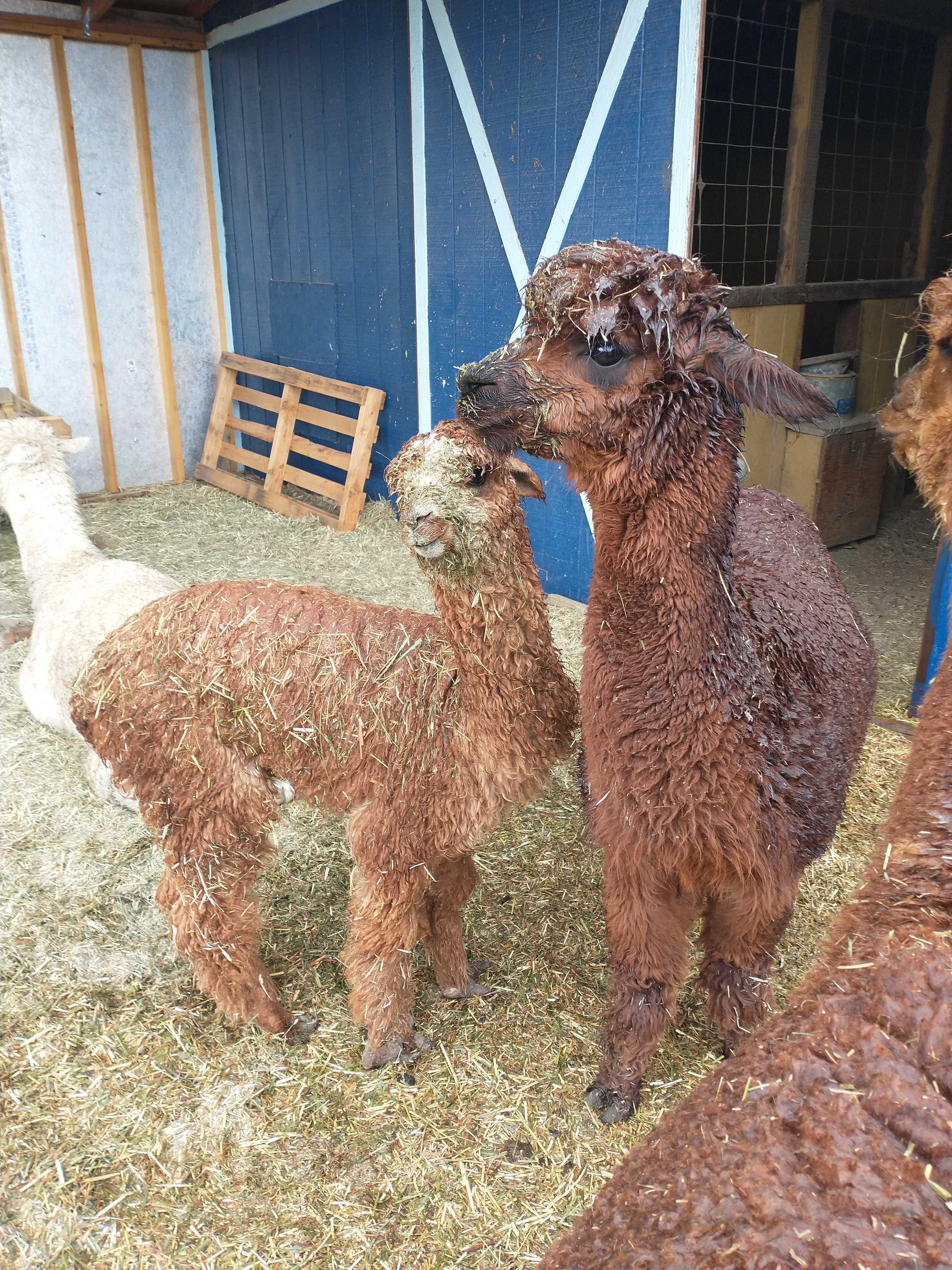 IMG_20220520_123540163