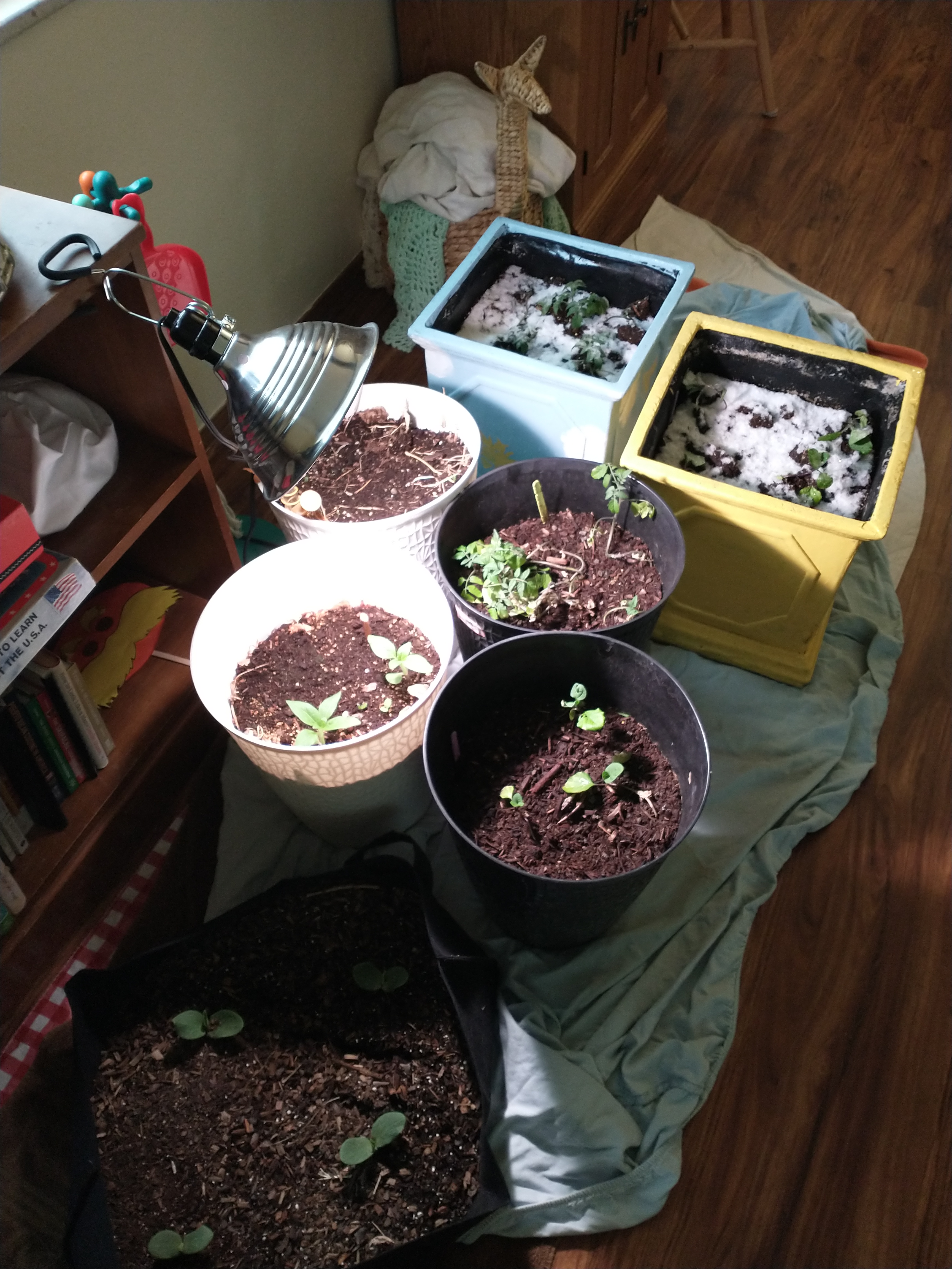 IMG_20220520_142028894