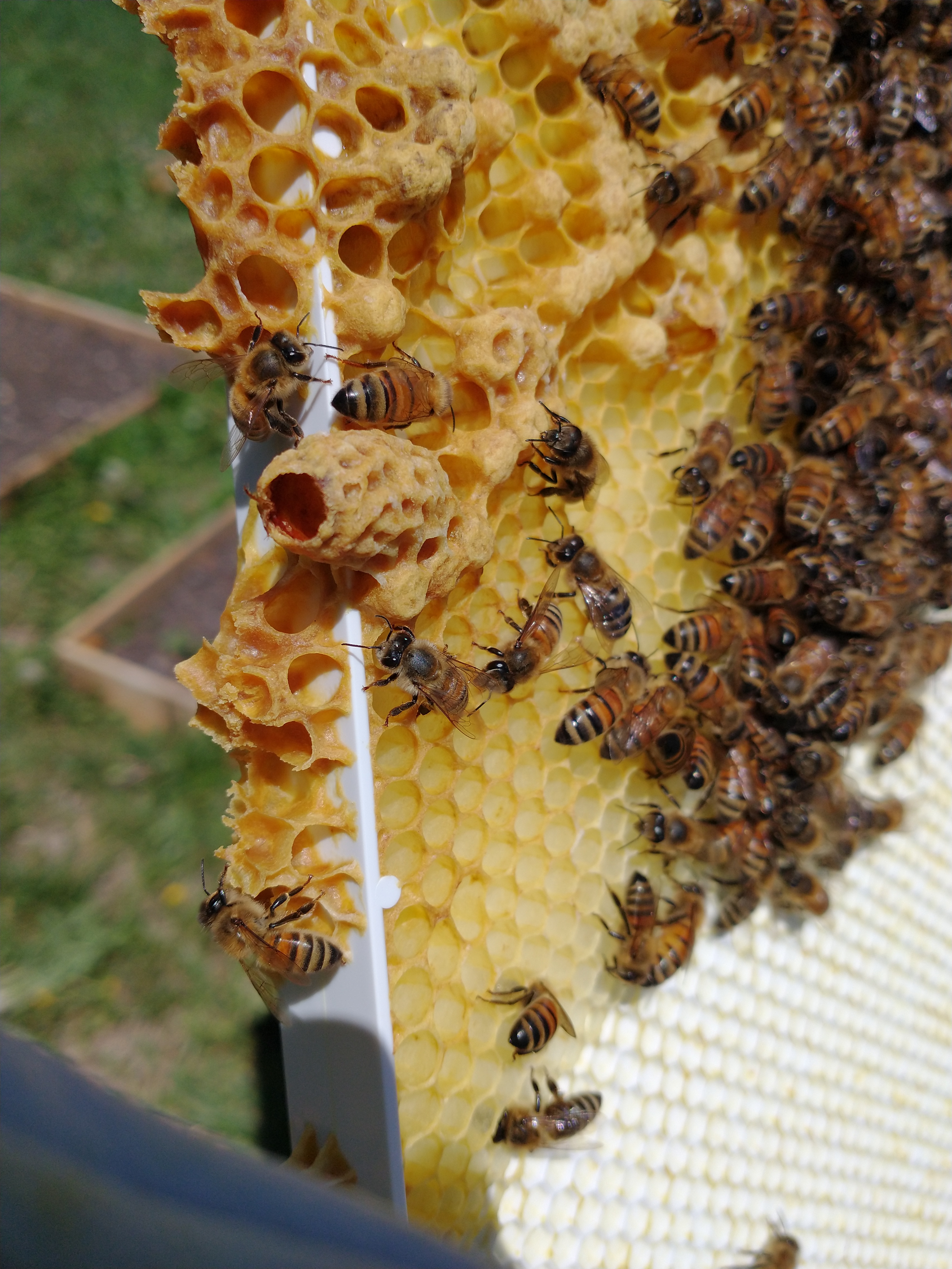 IMG_20220525_120740143