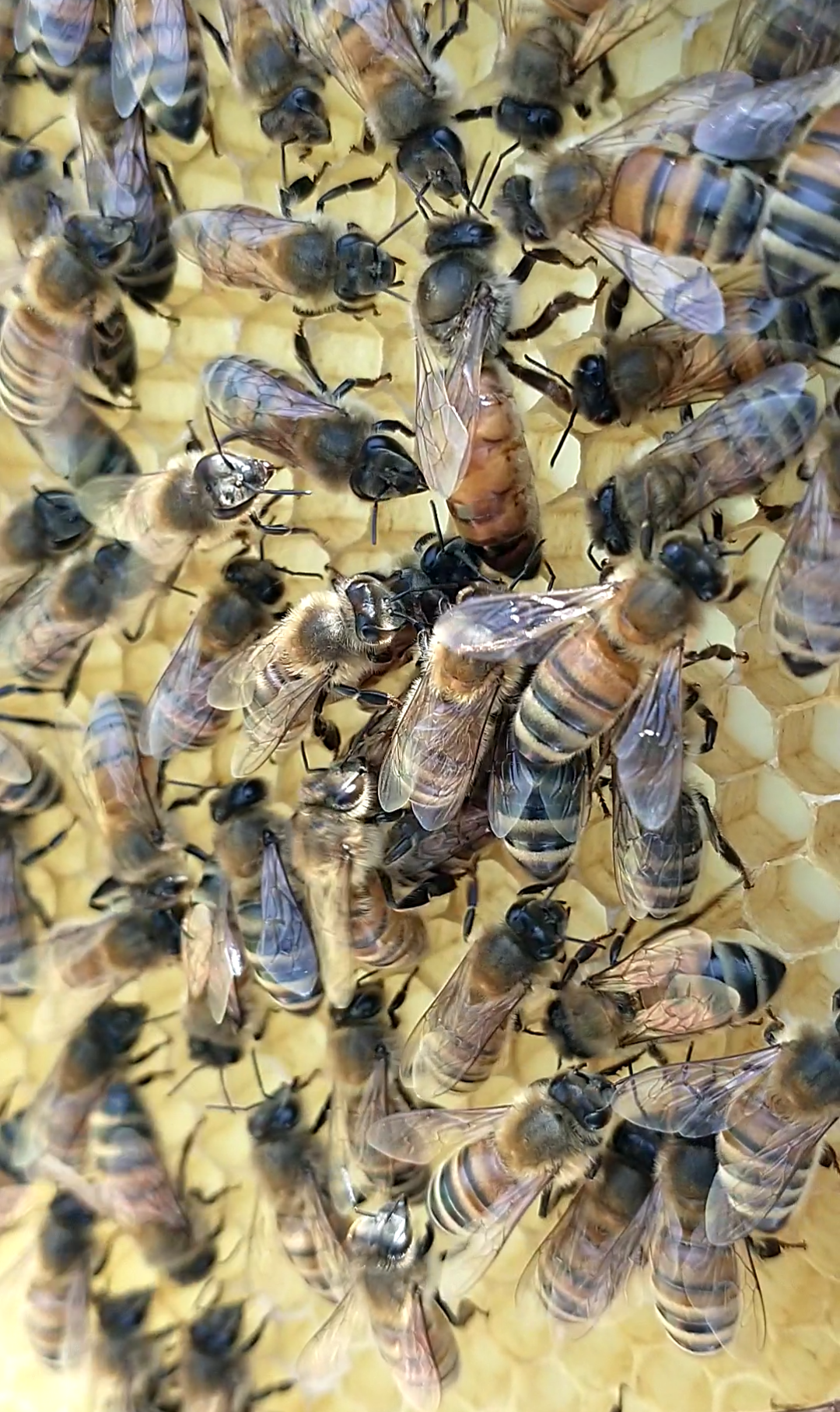 Screenshot_20220608-131519-778