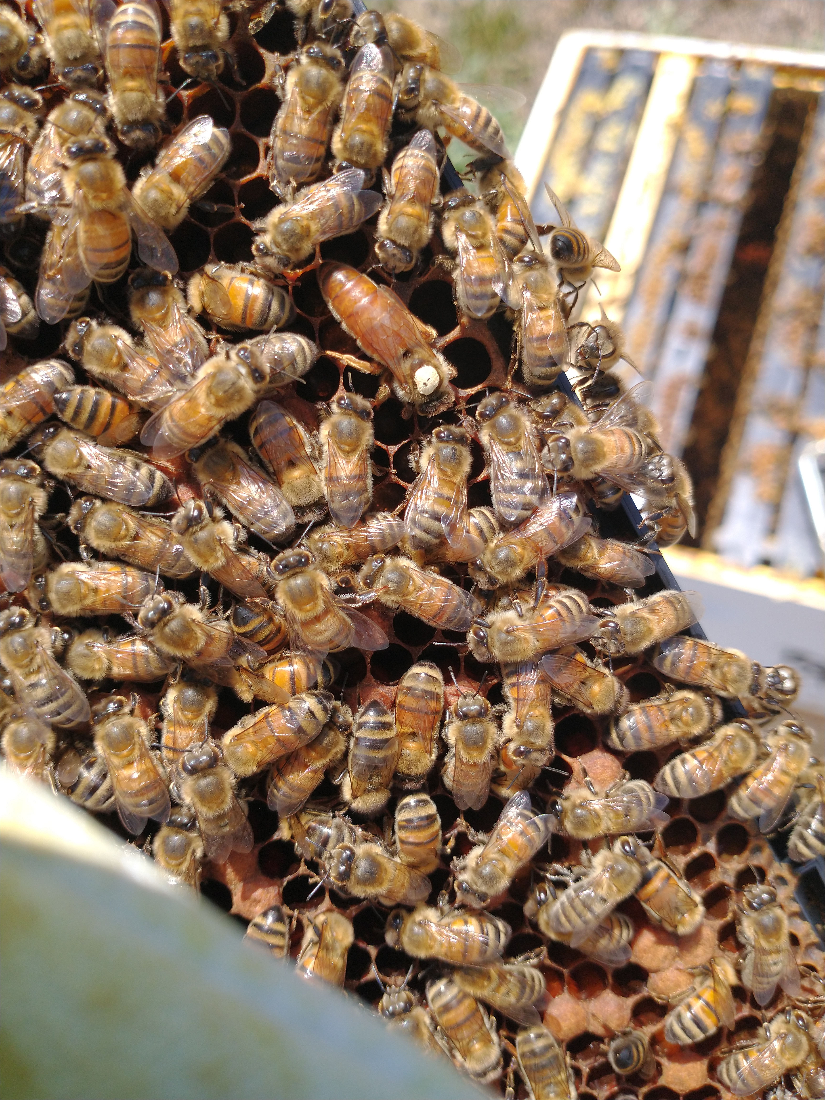 IMG_20220804_122445498