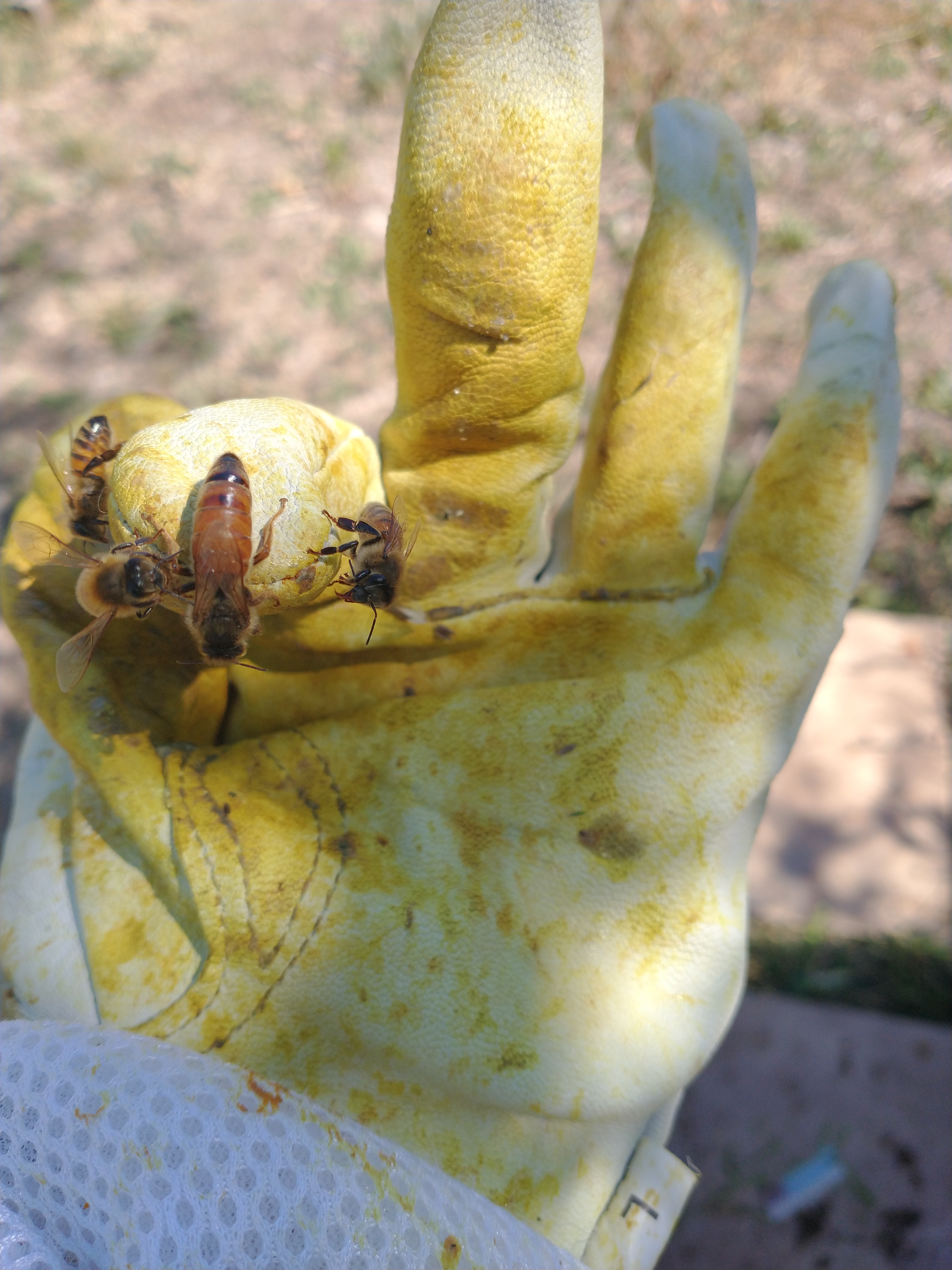 IMG_20220919_125636578