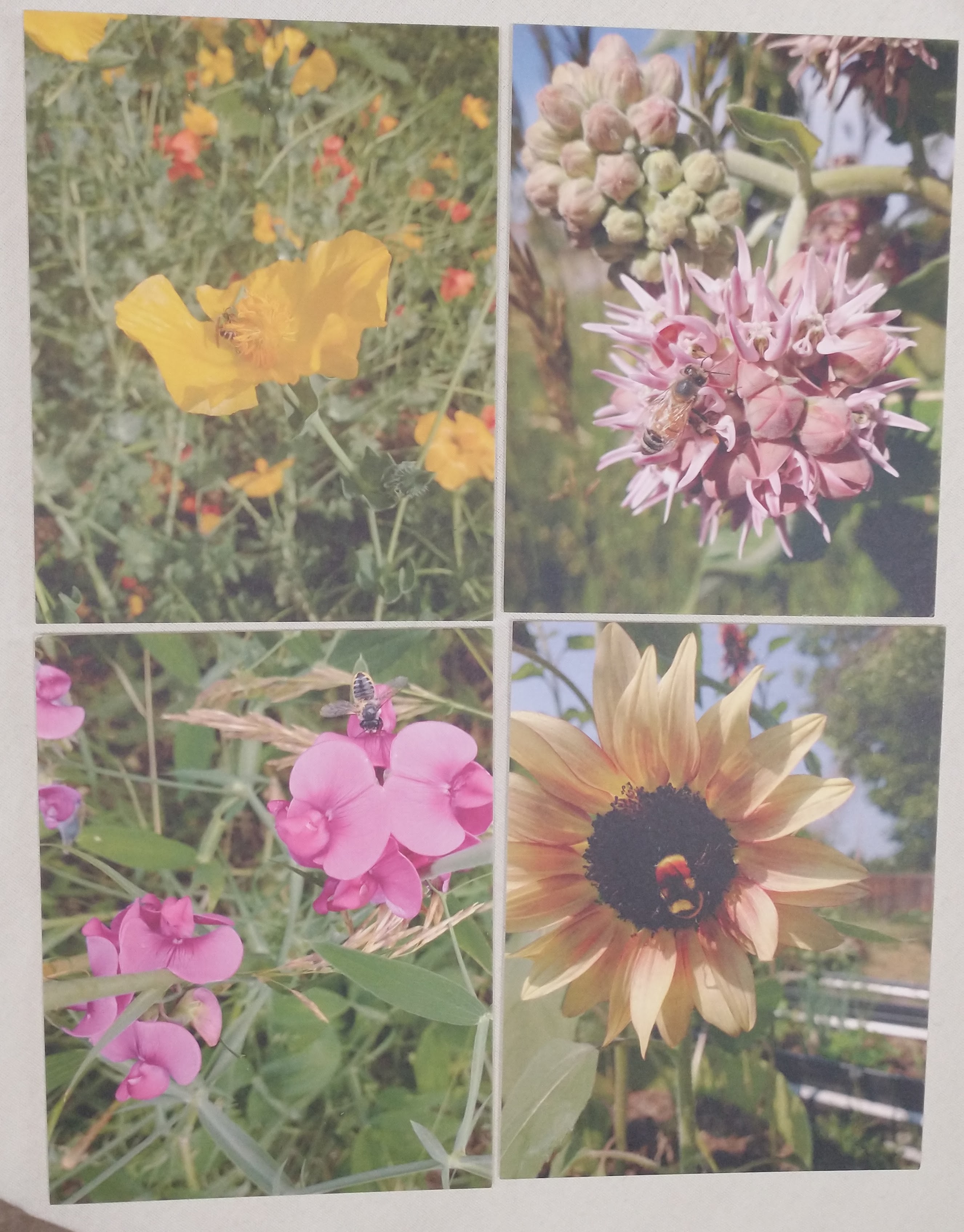 IMG_20230126_082742046