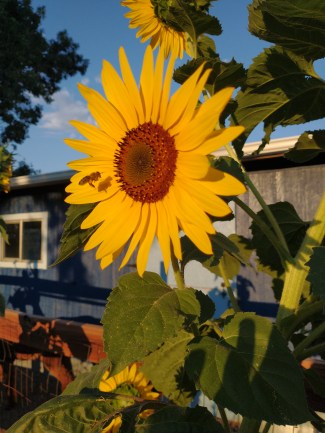 IMG_20220903_185403992