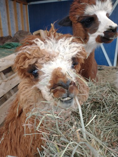 IMG_20230128_145511982